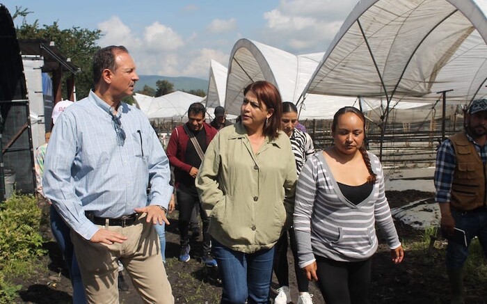 Fundamental el Sistema Estatal de Cuidados: Fabiola Alanís