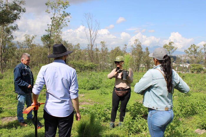 #Galería | Arranca Gobierno estatal reforestación de Áreas Naturales Protegidas