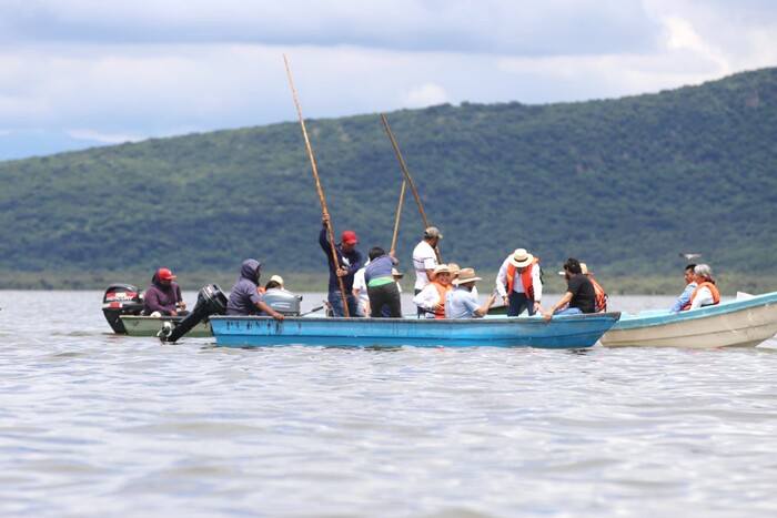 #Galería | Arranca Gobierno estatal siembra de un millón de crías de tilapia en el lago de Cuitzeo