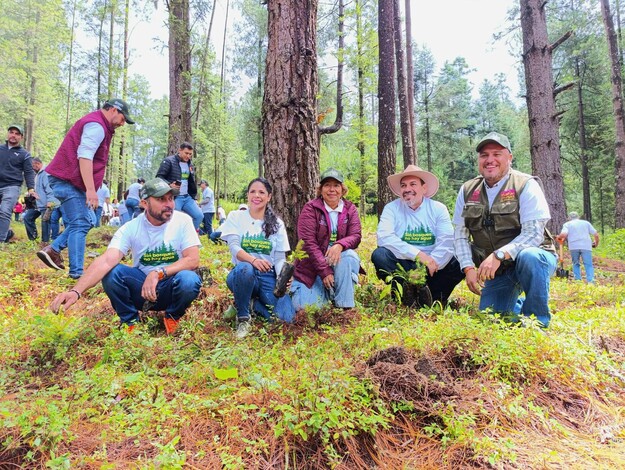 #Galería | Arranca plantación de 2 mil árboles en área protegida de Los Azufres