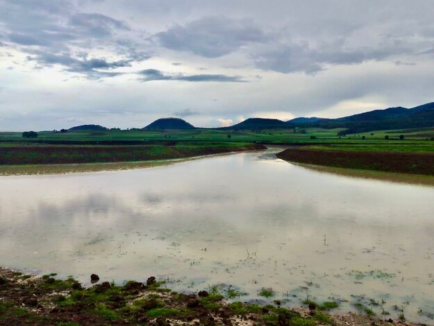 #Galería | Tras labores de limpieza, renace laguna de Zinciro, en Erongarícuaro