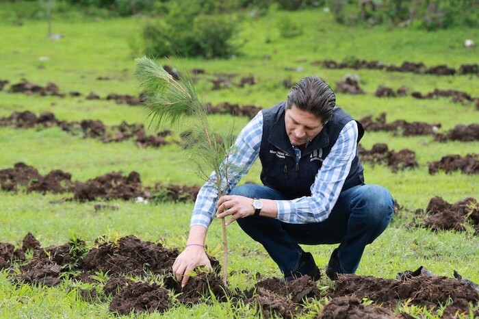 Gobierno de Morelia, cerca de plantar 1 millón de árboles