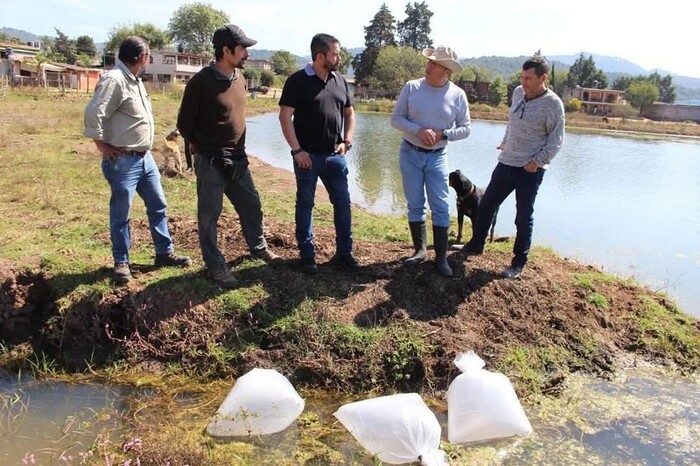 Gobierno de Morelia impulsa la producción piscícola en la zona rural