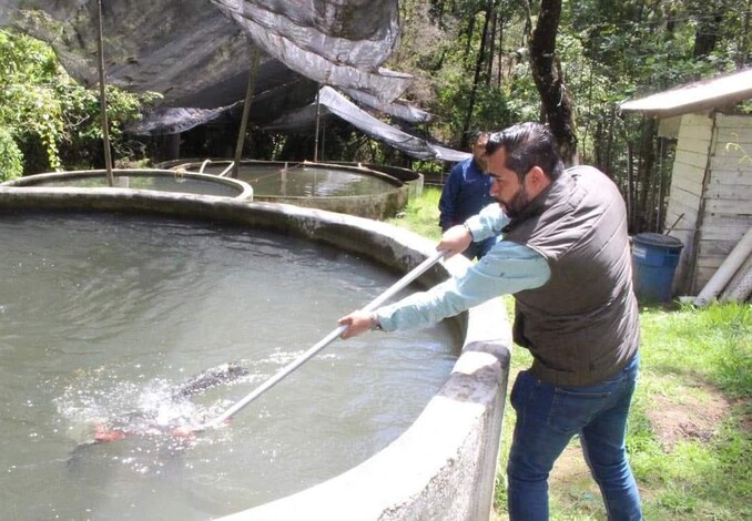 Gobierno de Morelia impulsa la producción piscícola en la zona rural