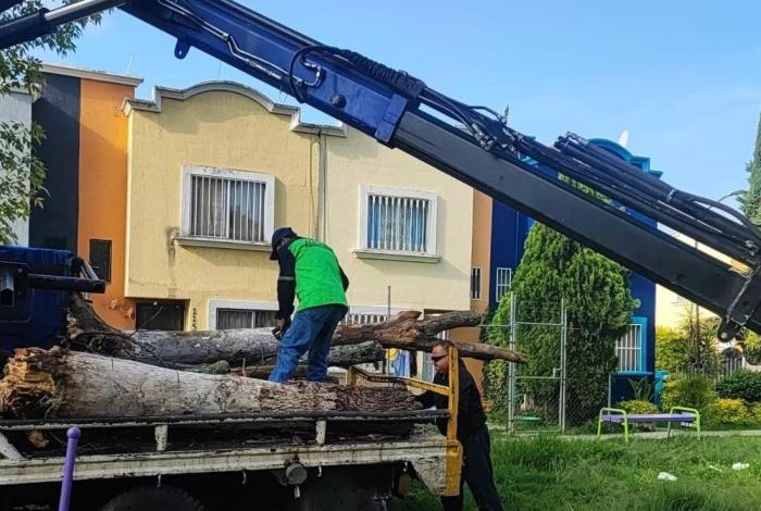 Gobierno de Morelia rehabilita áreas verdes en distintos puntos de la ciudad