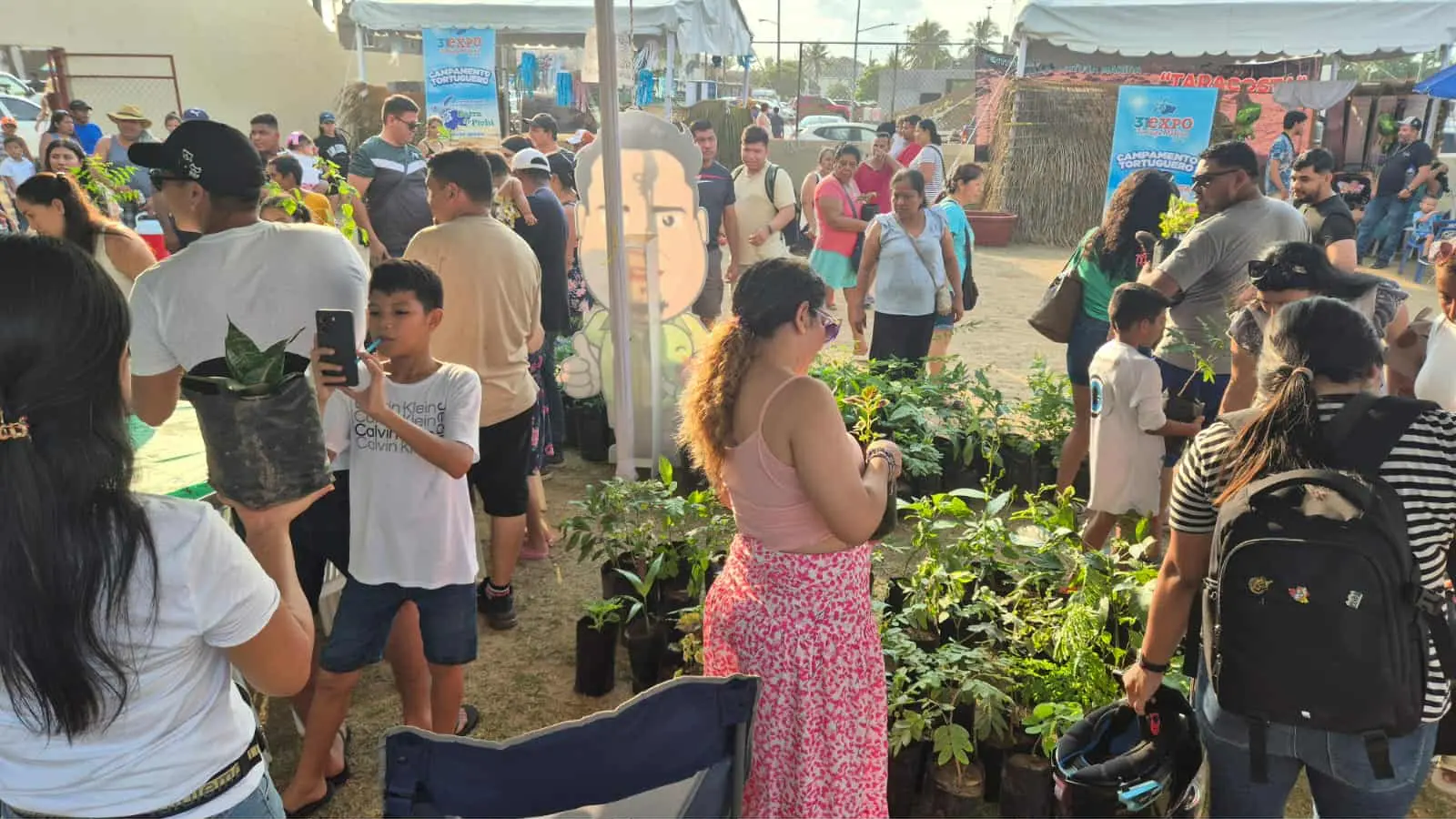 Gobierno Municipal impulsa la reforestación en Playa Azul