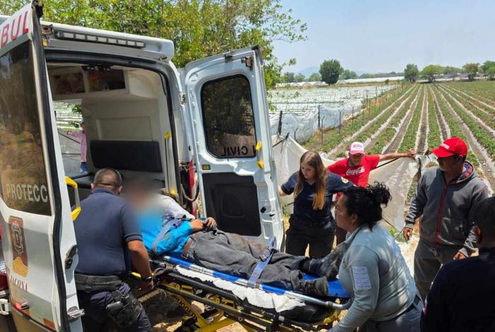 Grave campesino baleado en parcelas de San José El Platanal, Jacona