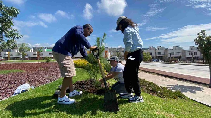 Grupo DEESA realiza masiva reforestación en complejos habitaciones