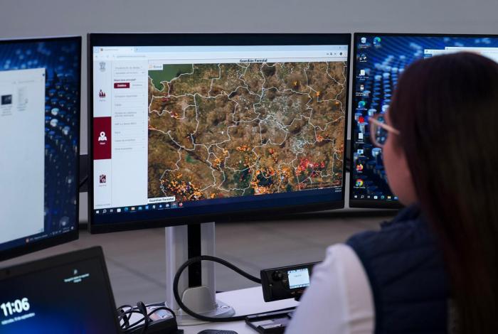 Guardián Forestal, un blindaje para la Monarca y bosques michoacanos