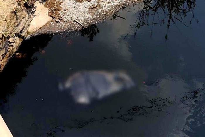 Hallan cadáver en canal de aguas negras en Uruétaro, Tarímbaro