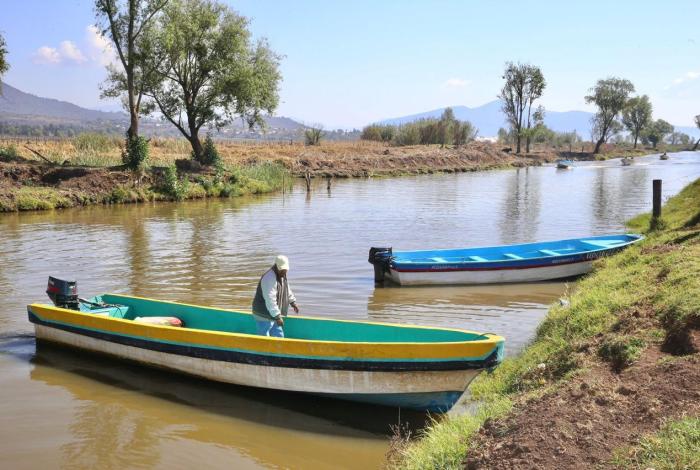 ¡Hallan tres nuevos manantiales! El rescate del lago de Pátzcuaro está cerca