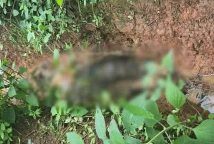 Hallan un cráneo y un cadáver en descomposición en paraje de Tacámbaro