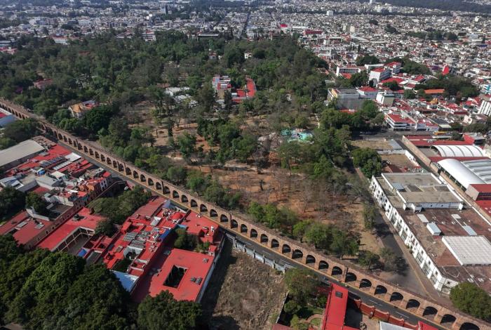 Heno consume árboles en el Bosque Cuauhtémoc