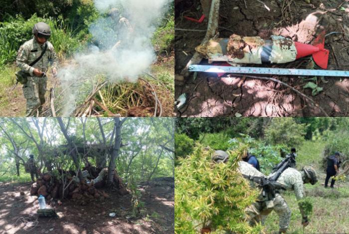 Hierba, minas y campamento abandonado: tres hallazgos en Tierra Caliente, Michoacán