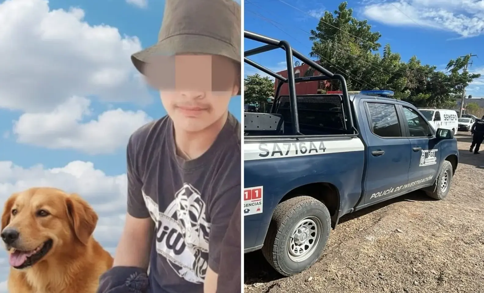 Histórico caso en Culiacán: realizan primera necropsia oficial a un perro víctima de violencia