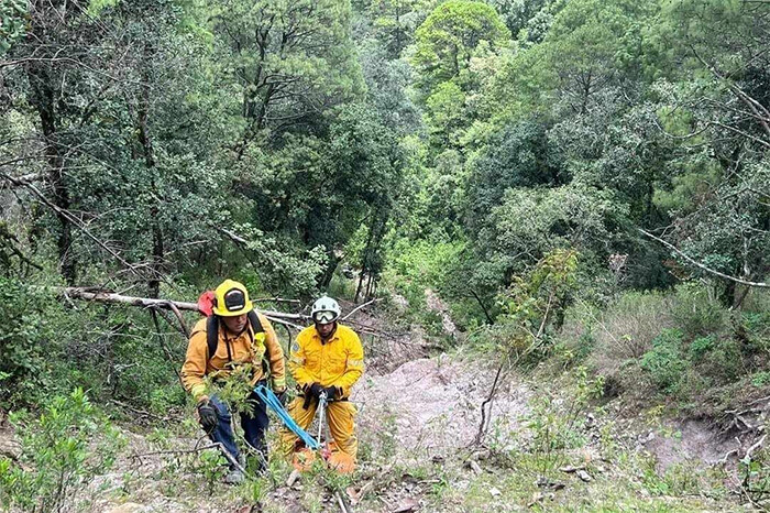 Hombre muere al caer con su camioneta a un barranco en San José de las Torres, Morelia