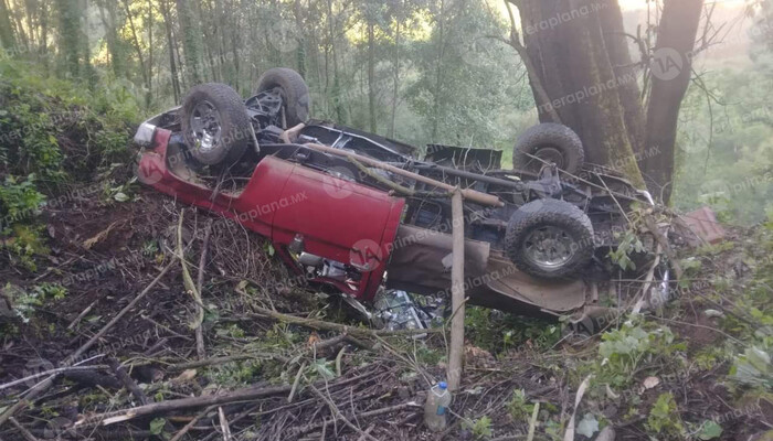 Hombres se salvan de milagro tras caer a barranco de 45 m, en Zitácuaro