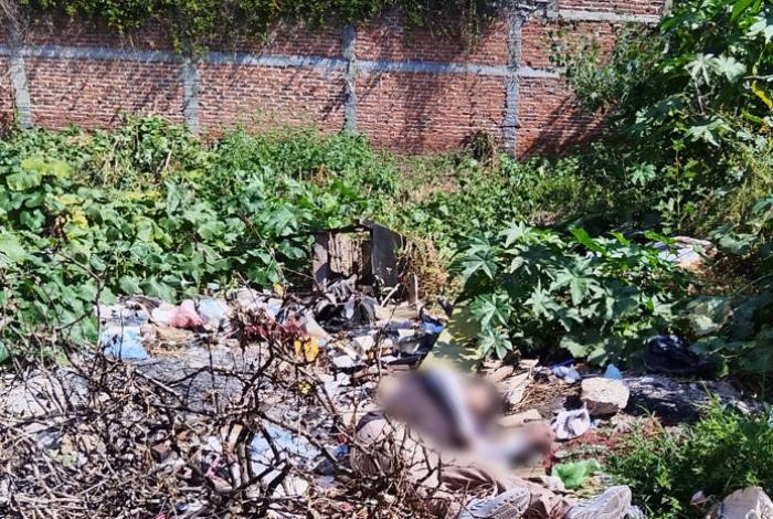 Homicidas abandonan el cuerpo de un joven entre la basura de un terreno baldío, en Zamora