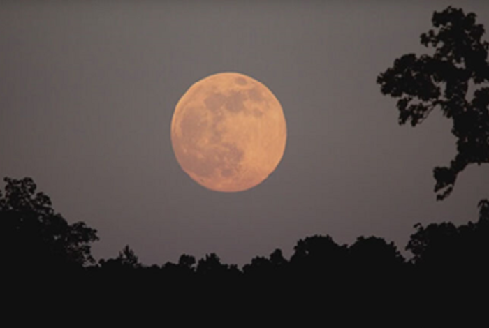 Hoy hay Luna Rosa, la primera luna llena del año y la que determina la fecha de Pascua