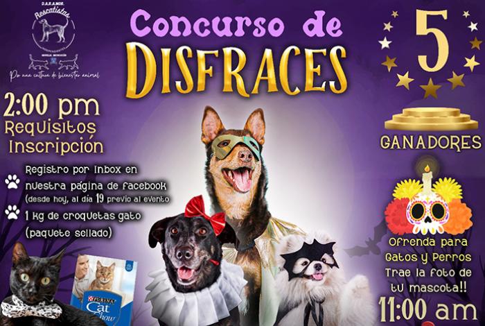 Huellitas de ultratumba: rescatistas convocan a concurso canino de disfraces