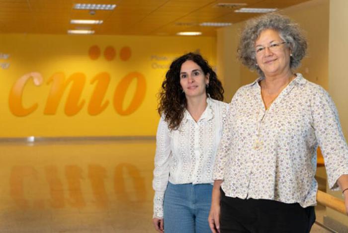 Identifican nuevos genes que predisponen al cáncer de páncreas
