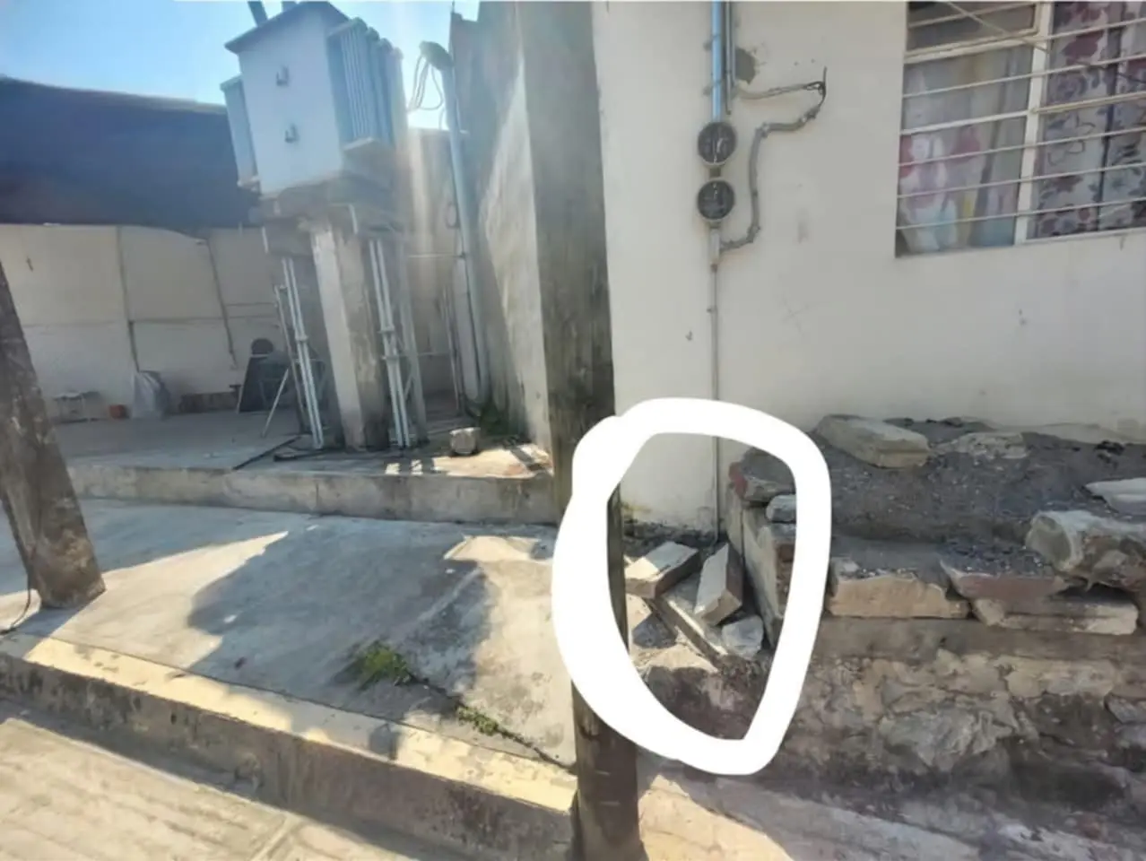 Imágenes sensibles: Crueldad animal en Xicotepec indigna a la comunidad