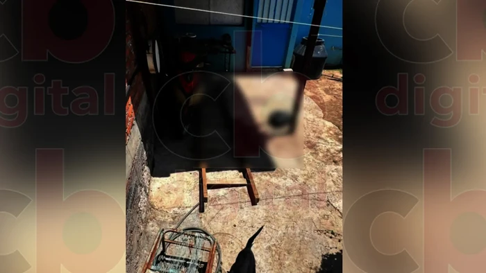 #Imágenes Sensibles: Denuncian grave caso de maltrato animal en fraccionamiento San Bernabé