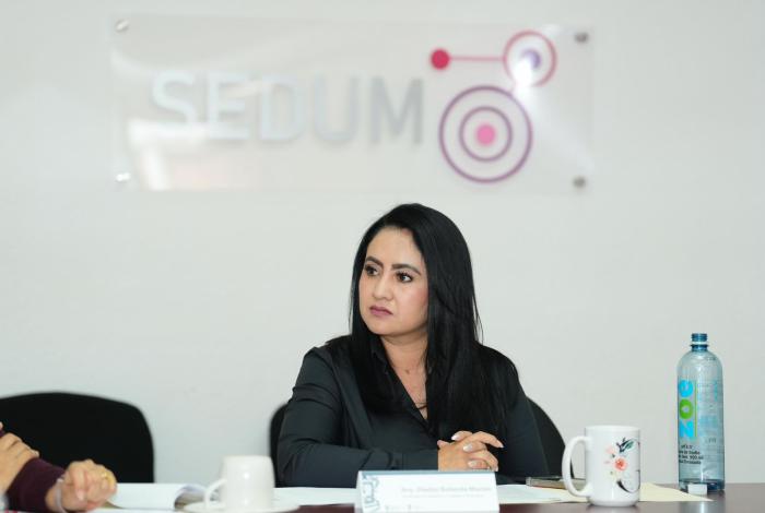 Impulsa Gladyz Butanda labores de bacheo y balizamiento en Morelia