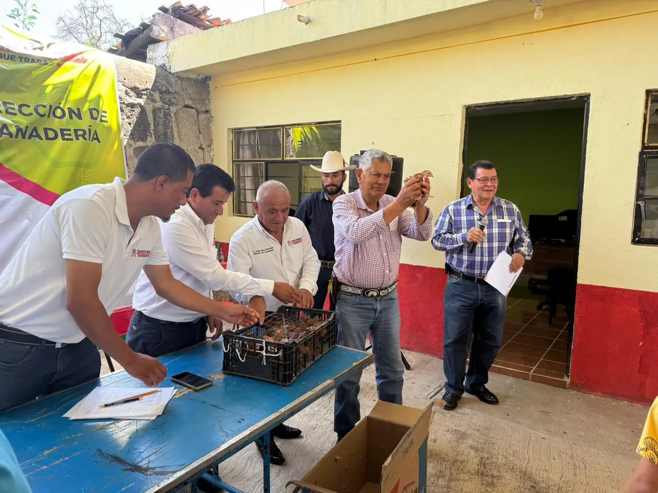 Impulsa Tarímbaro la economía familiar con entrega de pollitas de doble propósito