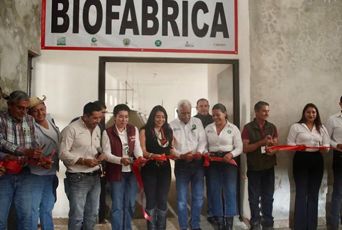 Inaugura Junta Local de Sanidad Vegetal Biofábrica “Renace Ario Verde”