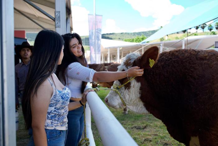 Inaugura Sader, Tercera Feria Ganadera con altas expectativas de venta