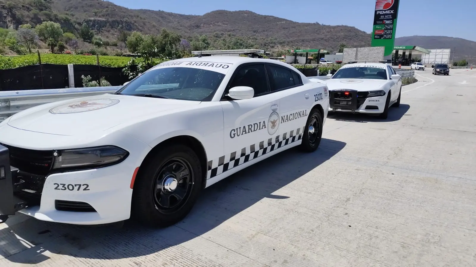 Incremento de extranjeros a las filas criminales en Michoacán, asegura Memo Valencia