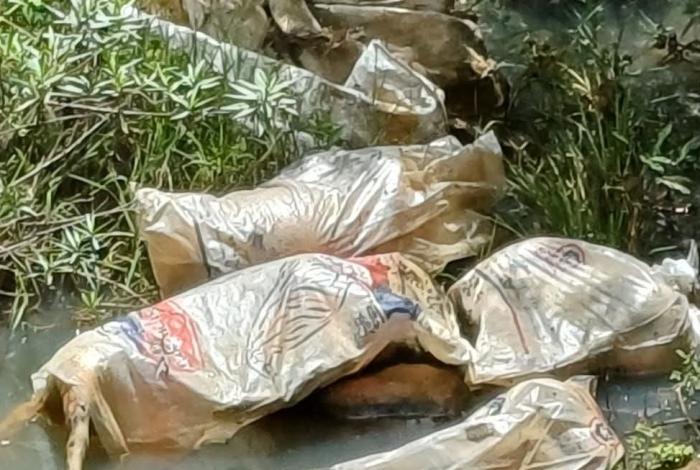 Indignante: encuentran seis perritos sin vid4 y encostalados en Quiroga