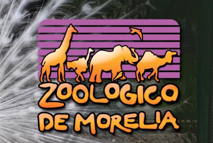 Ingresos de verano ayudarían al Zoo de Morelia a rehabilitar el antiguo albergue de lobos marinos