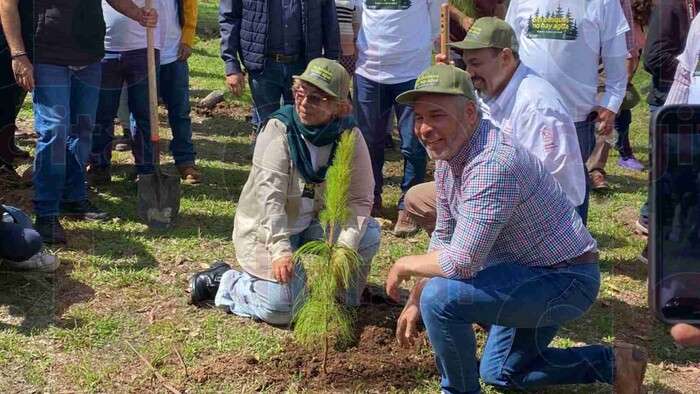 Inicia reforestación en Michoacán