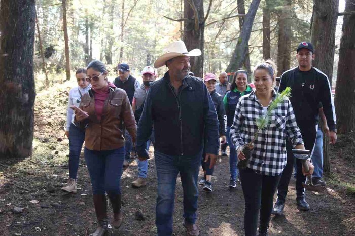 Inicia temporada de reforestación en Pátzcuaro, la meta son plantar 100 mil árboles 