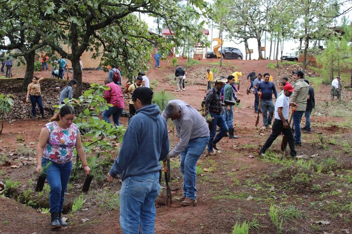 Inician reforestación en Área Natural Protegida Mesa de Tzitzio