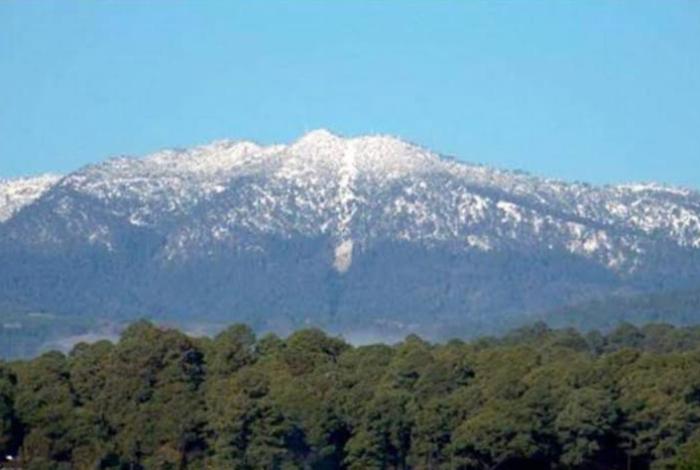 Integra FGR Investigación por un delito cometido contra la biodiversidad en área natural protegida de Tancítaro