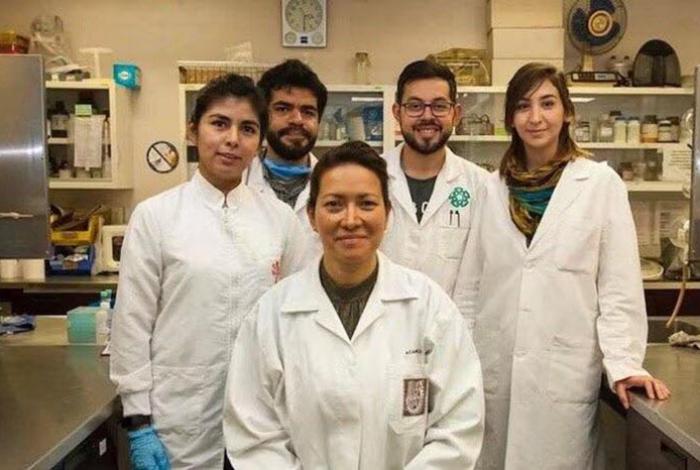 Investigadora mexicana logra eliminar el VPH con terapia fotodinámica en estudios clínicos