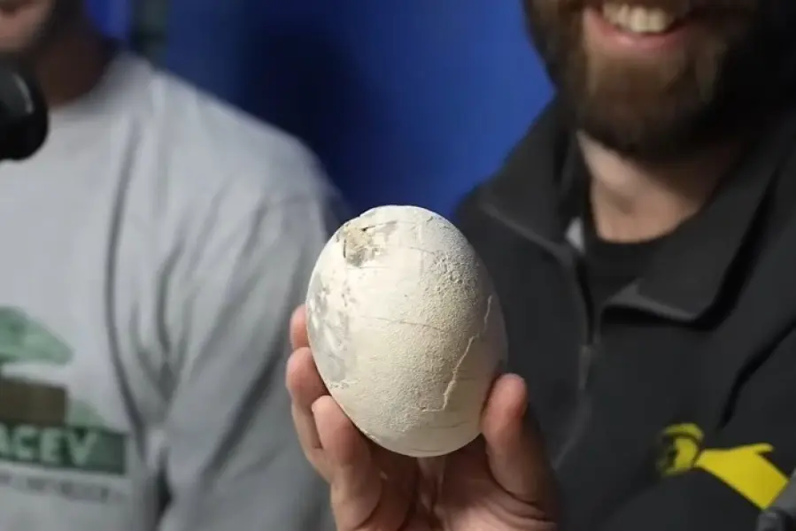Investigadores en Argentina hallaron un huevo de dinosaurio en buen estado de preservación
