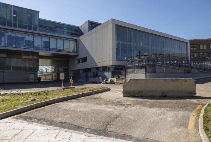 Investigadores trabajan un atlas de segmento lumbar en medula de ratón para curar la paraplejia