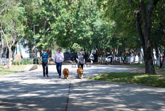 Invita SeCultura Morelia a exposición fotográfica ‘Mensajeros y promesas’