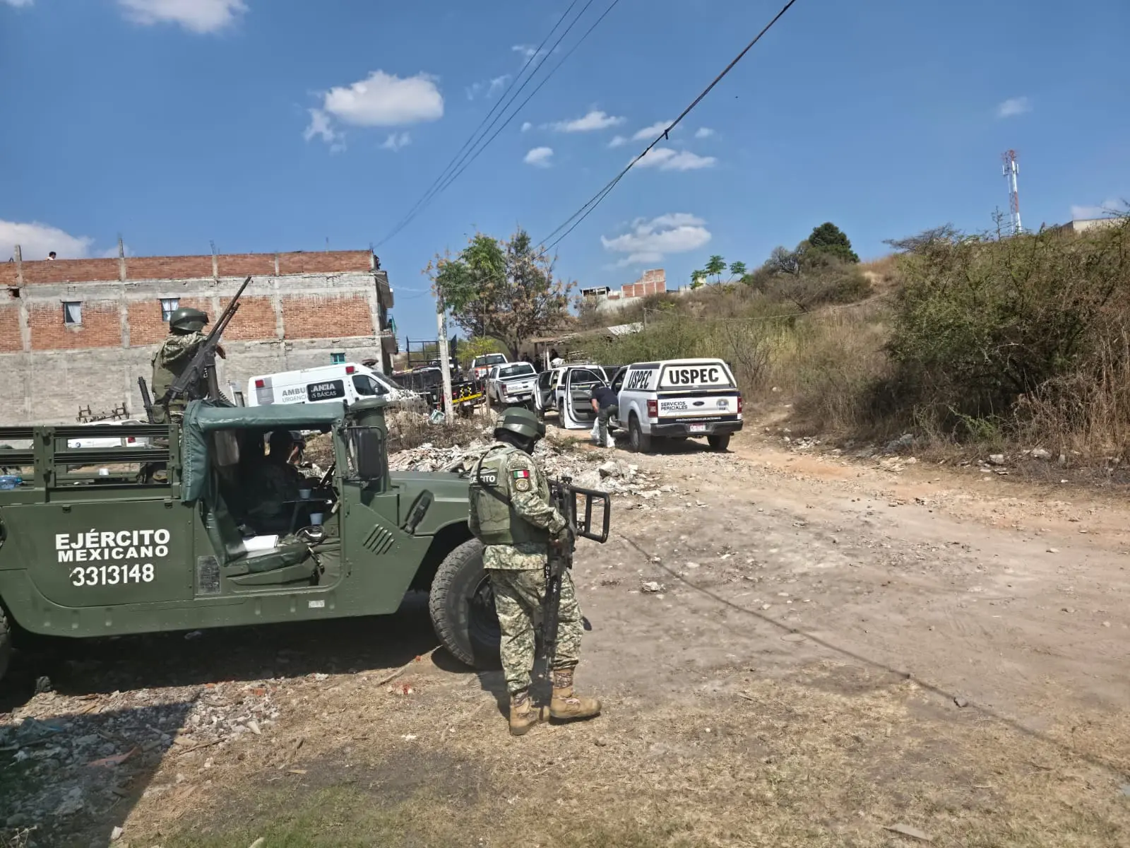 Jauría de perros asesina a mujer en Morelia