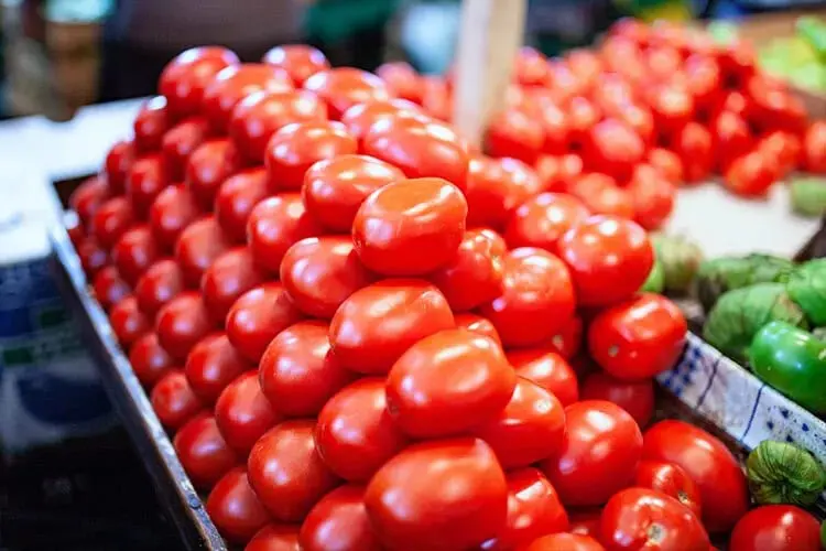 Jitomate alcanza hasta 70 pesos en supermercados de Morelia