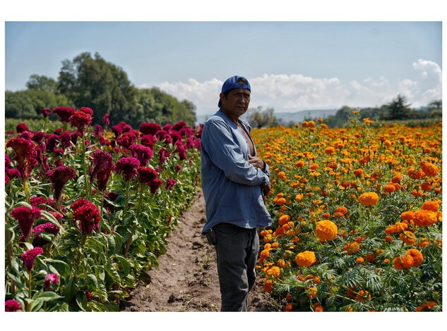 Juan José, una vida arando el campo bajo el sol