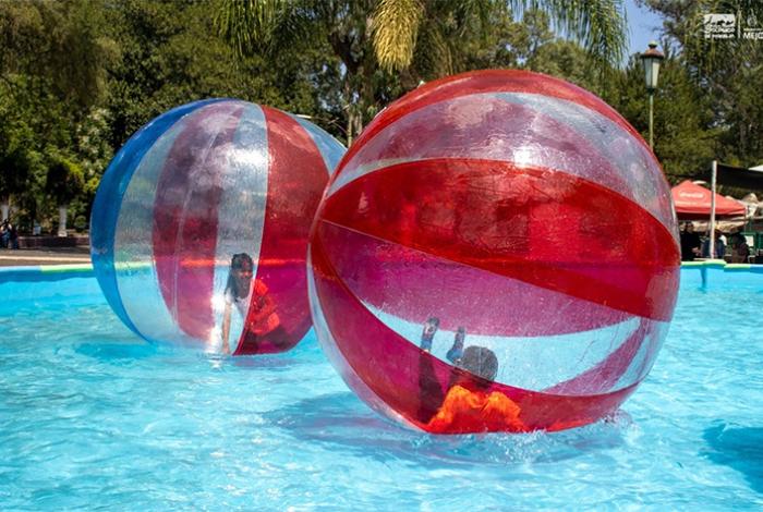 K-pop, Saja Boys…, para festejar el Día de la Niñez en el Zoo de Morelia; el sábado 2 de mayo entrada gratis