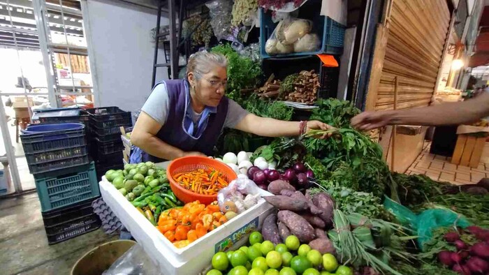 Kilo de Chayote y manojo de cilantro continúan con precios excesivos