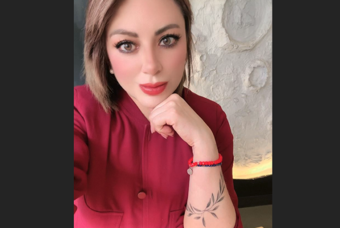 La batalla por la opinión pública: Redes sociales, entre la información y la manipulación. El análisis de Fany Santiago