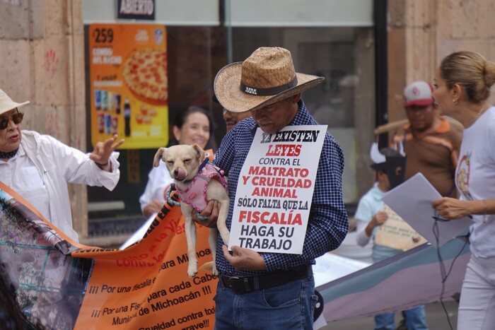 ‘La crueldad animal es también violencia social’: gritan fuerte activistas en Morelia