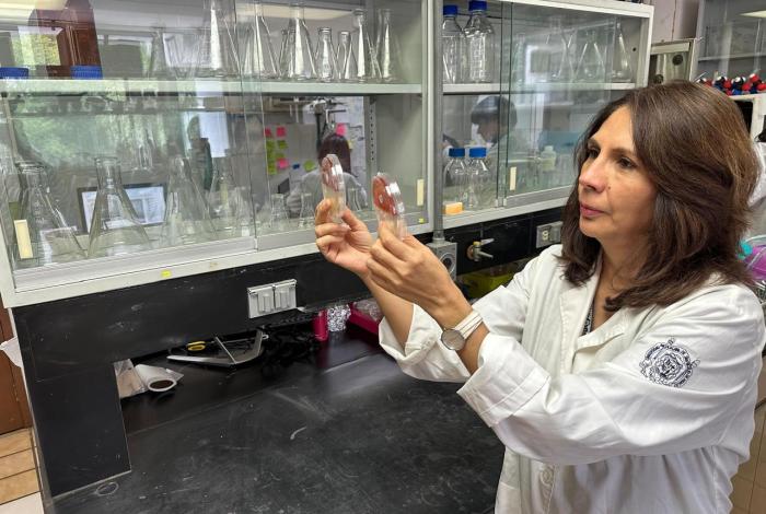 La investigadora nicolaita, Lourdes Macías, considerada como una de las mejores a nivel mundial